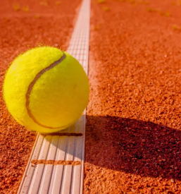 Sola tenisa slovenska bistrica podravje