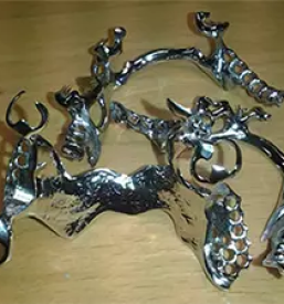 Zobna ordinacija zirovnica