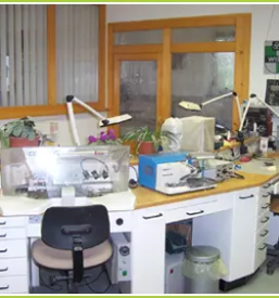 Zobotehnicni laboratorij in zobna ordinacija zirovnica