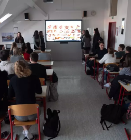 Gimnazija franca miklosica ljutomer