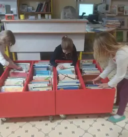 Osnovna sola rada robica limbus