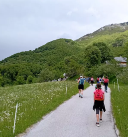 Vpis v Osnovno šolo Stražišče Kranj