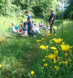 Podruznicna sola vrtovin skrilje vipavski kriz crnice