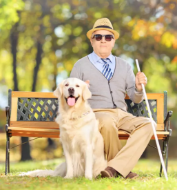 Pomoc slepim in slabovidnim ljubljana