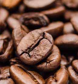 Program za narocanje blaga od dobaviteljev v sloveniji