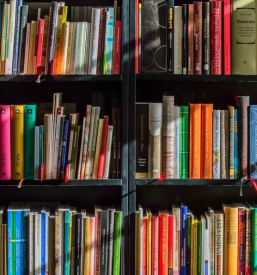 Kulturno društvo na Goriškem