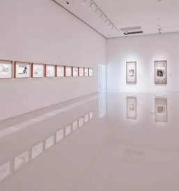 Kultura in umetnost Goriška