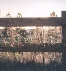 Psihoterapevtska pomoc pri osebah z izkusnjo travme ljubljana