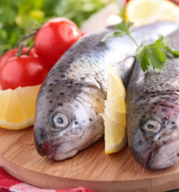 Ribogojnica sturmovci