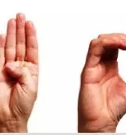 Socialni programi za gluhe in naglusne slovenske konjice vitanje in zrece