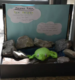 Srednja kozmetična šola Maribor