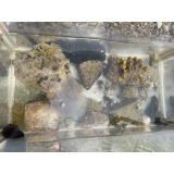 OSNOVNA ŠOLA POD GORO