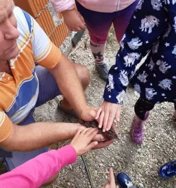 Dvojezicna osnovna sola genterovci gonterhazi ketnyelvu altalanos iskola