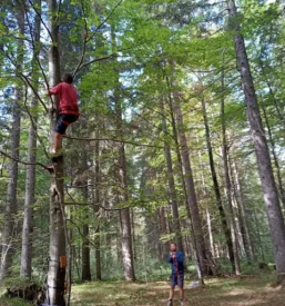 Osnovna sola dobravlje