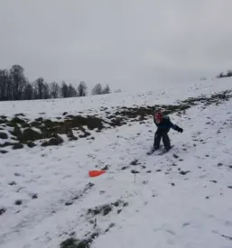 Osnovna sola dolenjske toplice