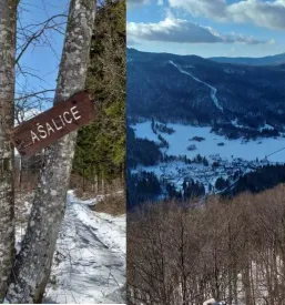Osnovna sola dolenjske toplice