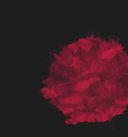 Brezplačna pomoč študentom iz Šentjurja