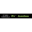 Pr' Anžlno