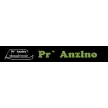 Pr' Anžlno