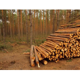 Gozdarske Storitve DMM SELINŠEK, Damijan Selinšek s.p.