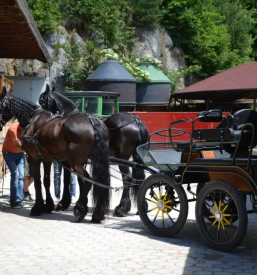 Sola jahanja velenje savinjska