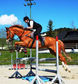 Sola jahanja velenje savinjska