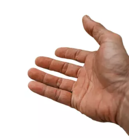 Storitve osebne asistence Novo mesto, Dolenjska