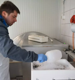 Sveze ociscene ribe maribor