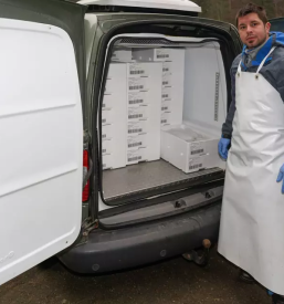 Sveze ociscene ribe maribor