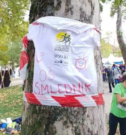 Vpis v osnovno solo smlednik osrednja slovenija