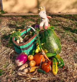 Vpis v vrtec in osnovno solo dobje