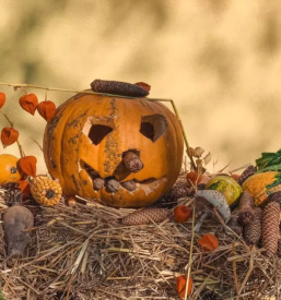 Vpis v vrtec in osnovno solo dobje