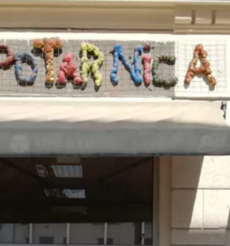 Zbiranje obnova recikliranje in prodaja rabljenih predmetov maribor