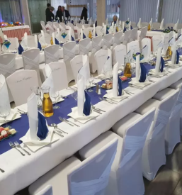 Dobro gostisce siva caplja stajerska