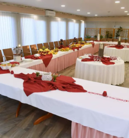 Dobro gostisce siva caplja stajerska