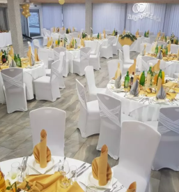 Dobro gostisce siva caplja stajerska