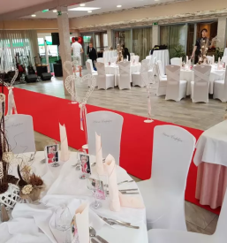 Dobro gostisce siva caplja stajerska