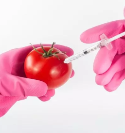 Grm novo mesto center biotehnike in turizma kmetijska sola grm biotehniska gimnazija