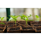 GRM NOVO MESTO - CENTER BIOTEHNIKE IN TURIZMA