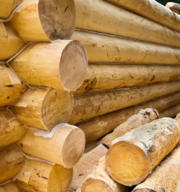 Lesene montazne hise brunarice in nadstreski slovenija