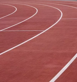 Nizke gradnje skocjan