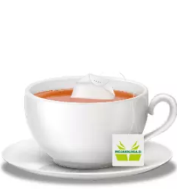 Online knjigarna slovenija