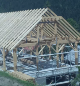 Ugodna skeletna gradnja savinjska