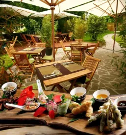 Azijska restavracija shambala ljubljana center