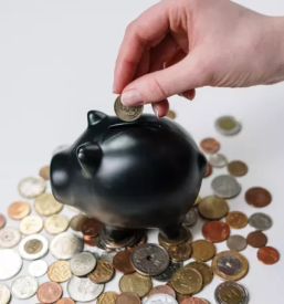 Investicijsko svetovanje koper primorska