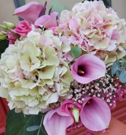 Ugodno cvetje Maribor