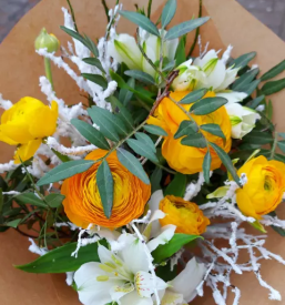 Rezano cvetje Maribor