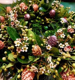 Dobra cvetličarna Maribor, Podravje