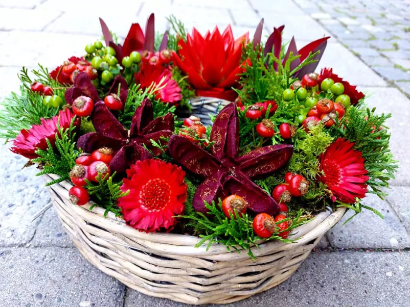 Prodaja cvetja Maribor