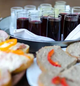 Ugoden catering dornava